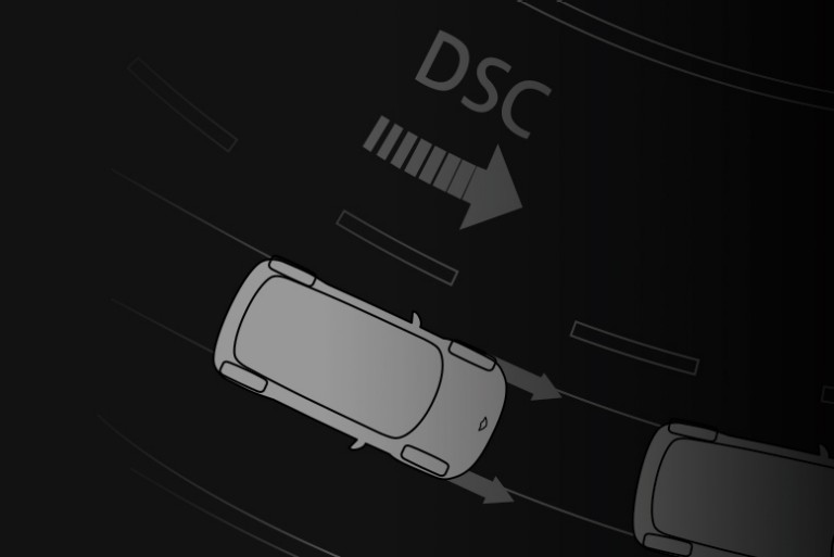 Dynamic Stability Control