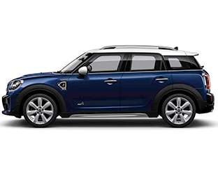 Mini on sale roof rails
